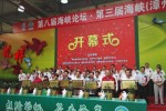 综合资讯